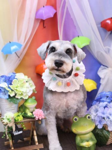 20230604バーツくん